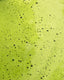 How to Prepare Matcha Tea?