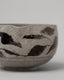 katakuchi「 water lily 」